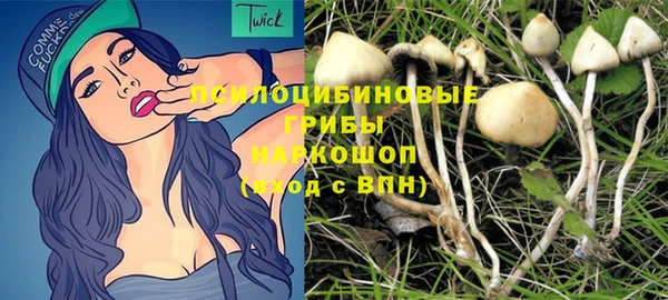 PSILOCYBIN Алзамай