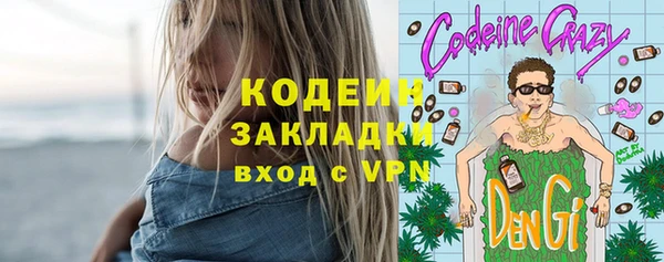 PSILOCYBIN Алзамай