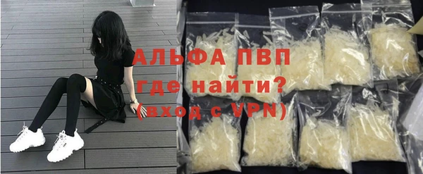 стаф Алексин