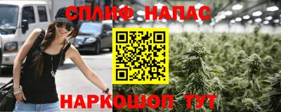 крисы Партизанск