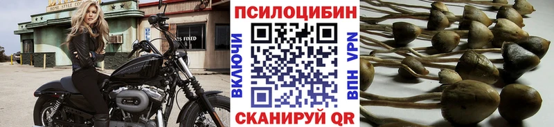 Псилоцибиновые грибы MAGIC MUSHROOMS  Строитель 