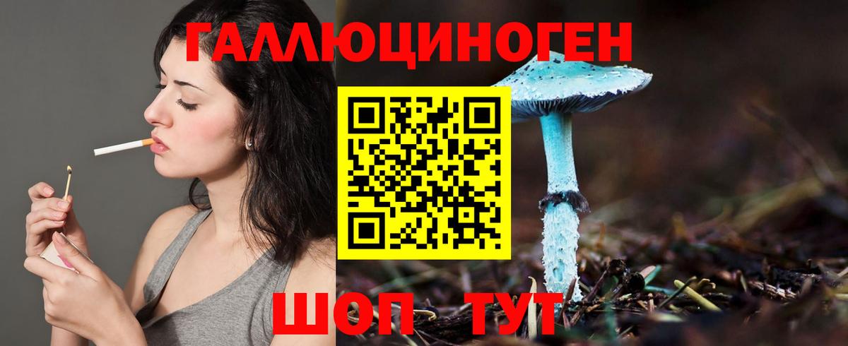 Галлюциногенные грибы Psilocybine cubensis  Вход с VPN  купить наркотики цена  Строитель 