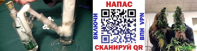 Канабис VHQ  как найти наркотики  Строитель 